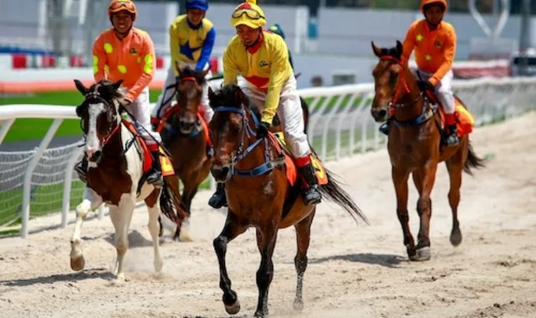 Cần tìm hiểu về bộ môn đua ngựa ANO88 trước khi cá cược